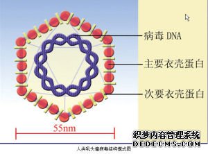 怎样才能和尖锐湿疣断绝关系